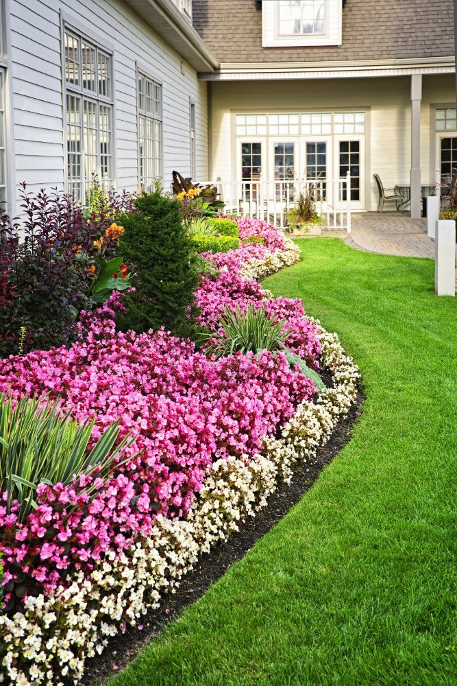 Ealima Landscaping & Maintenance - 4