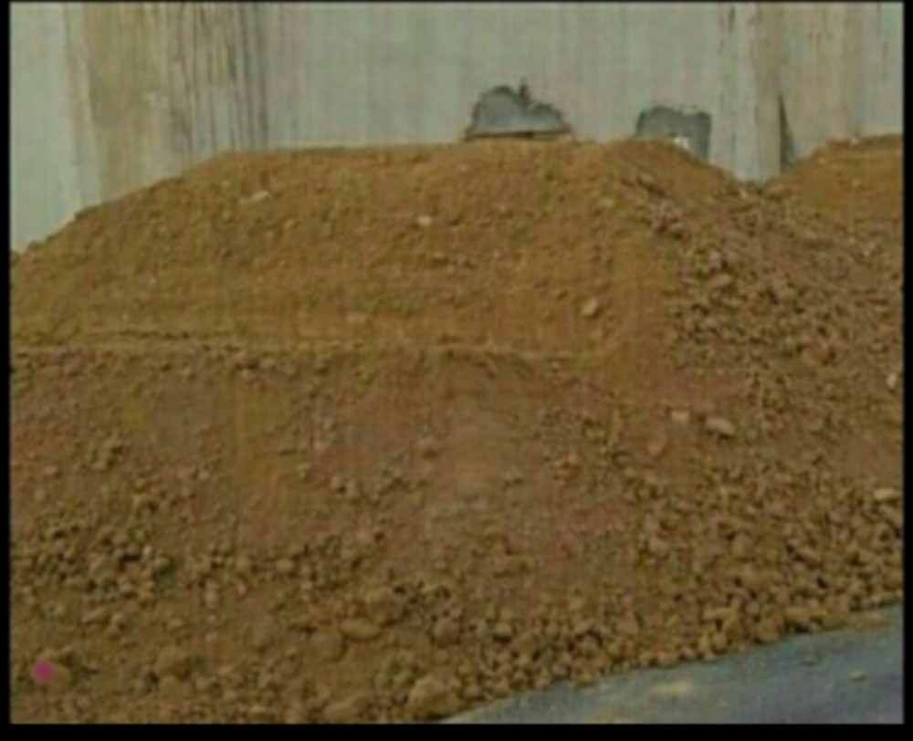 منسق حدائق - 3