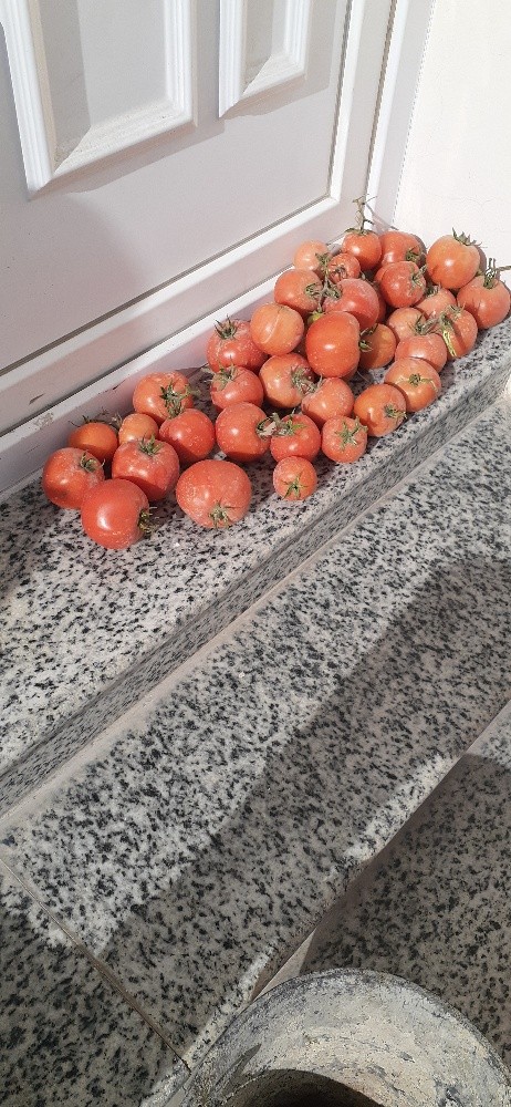 زراعه وذكور - 4