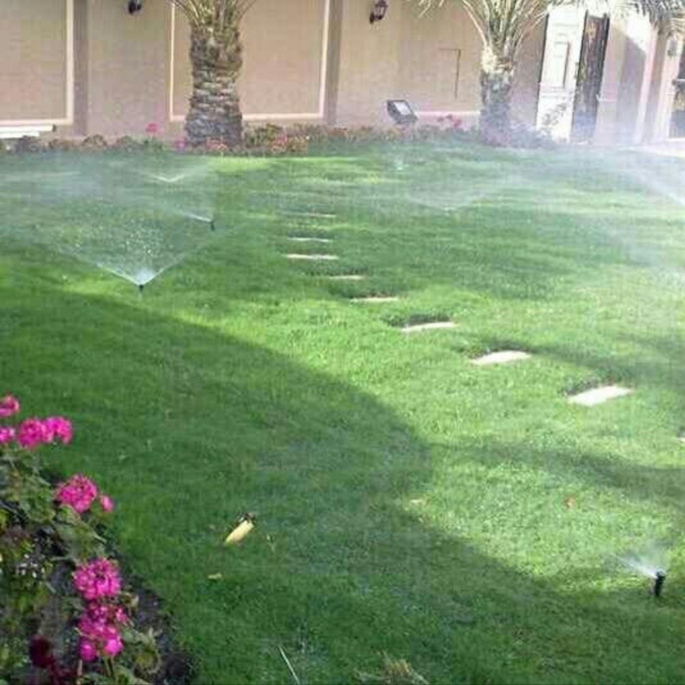العنايه بالحدائق - 1