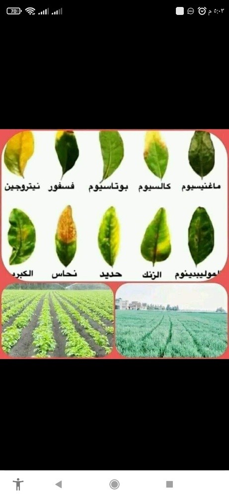 خبراء تنسيق - 1