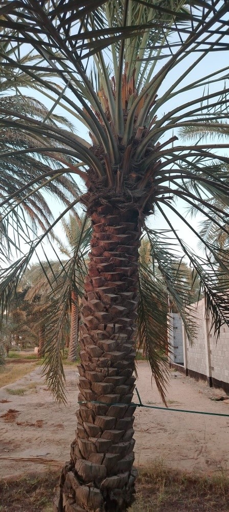 خبراء تنسيق - 3
