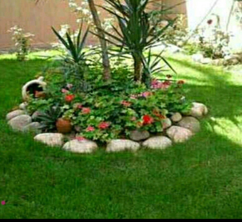 مزارع - 4