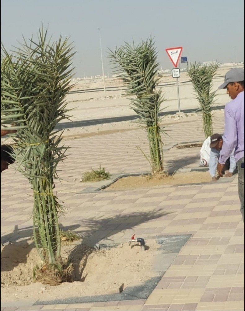 ترتيب وصيانه الحدائق - 13