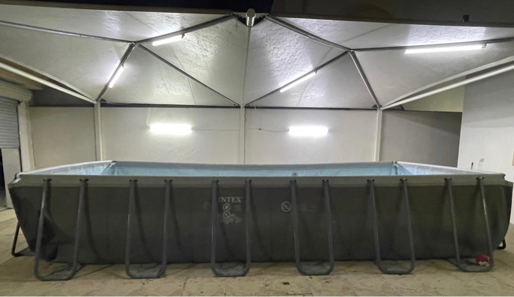 Intex swimming pool  - 4