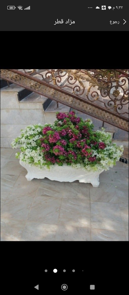 زراعه الورود - 6