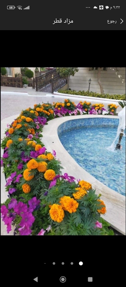 زراعه الورود - 1