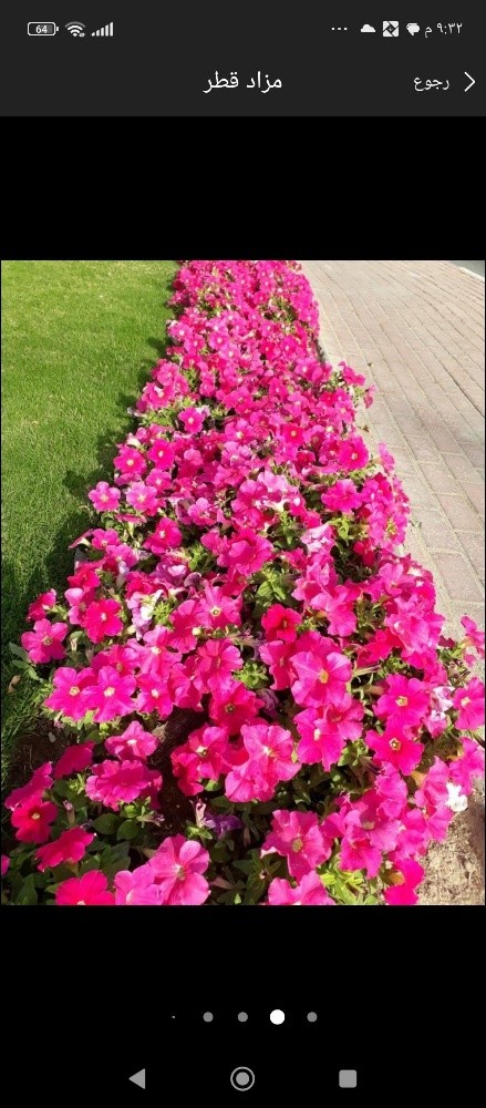 زراعه الورود - 4