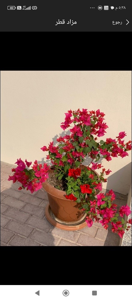 مزارع - 1