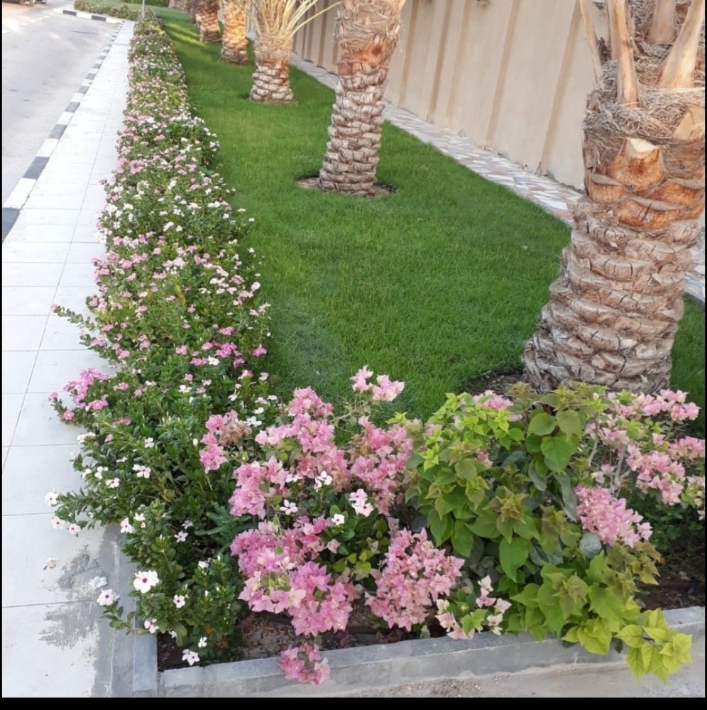 تنسيق حدائق - 1