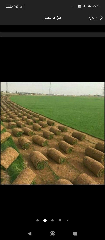 عشب طبيعي وصناعى للبيع - 1