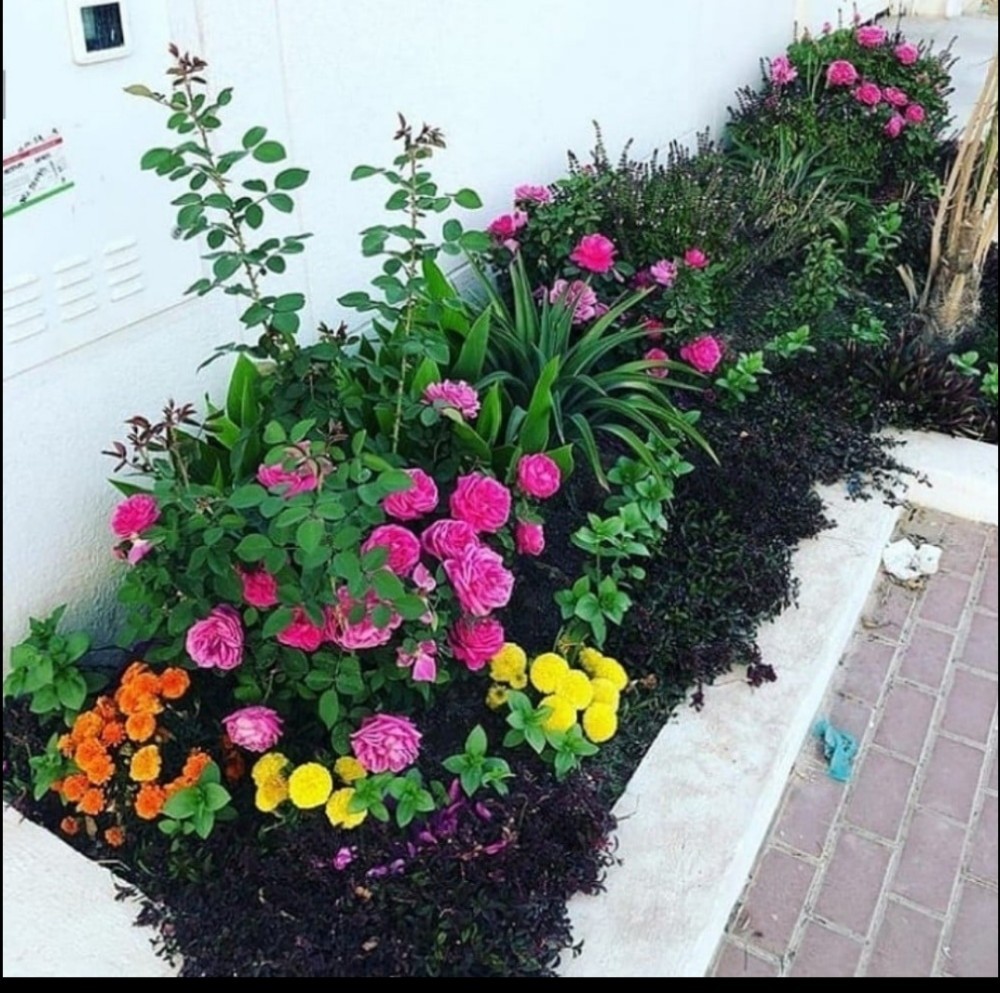 اعمال الزراعة - 3