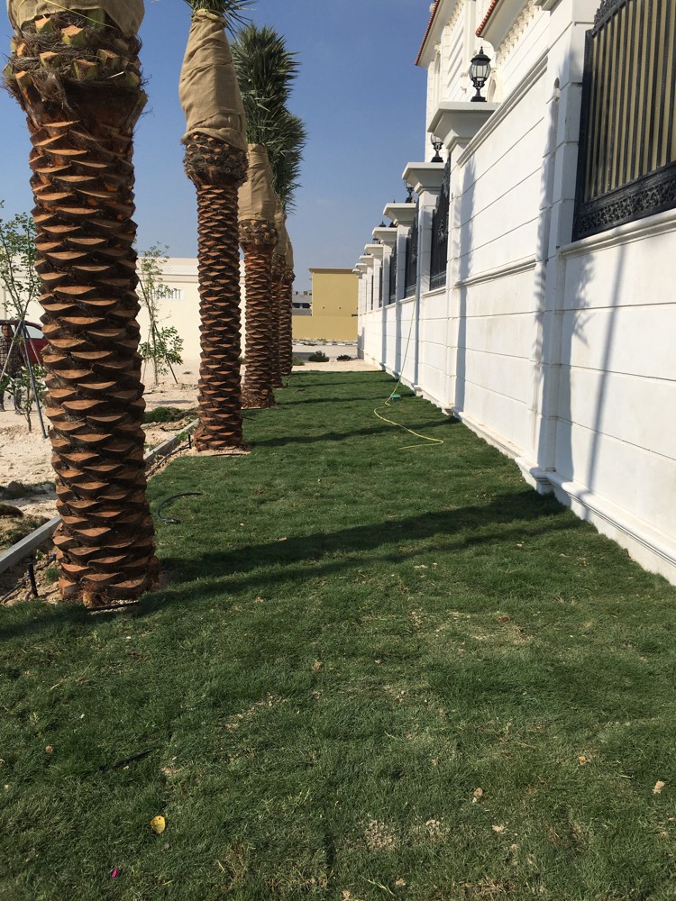 أعمال الصيانة الحدايق شهريا   - 3