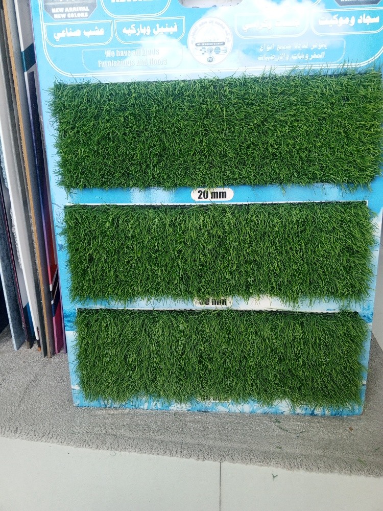 Green Carpet - 2