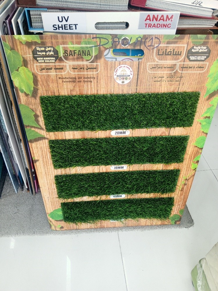 Green Carpet - 3