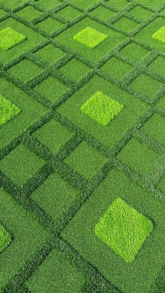 Green Carpet - 6