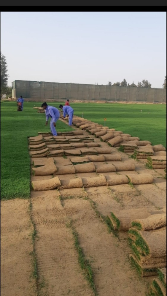 اعمال تكريب النخيل زراعة رش - 2