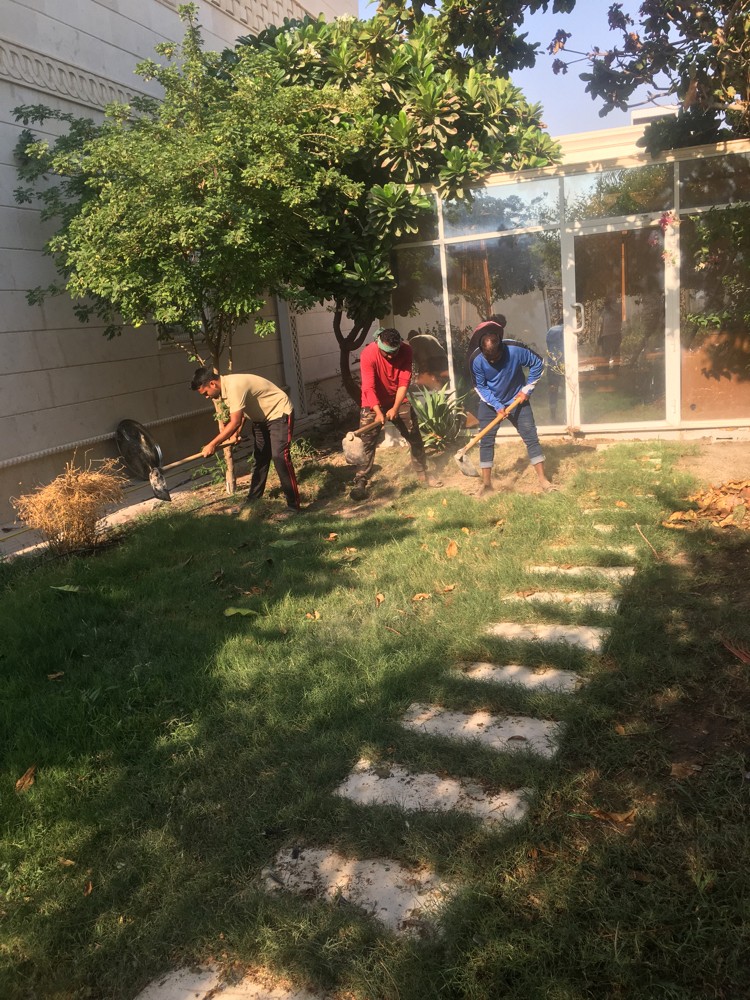 اعمال تكريب النخيل زراعة رش - 5