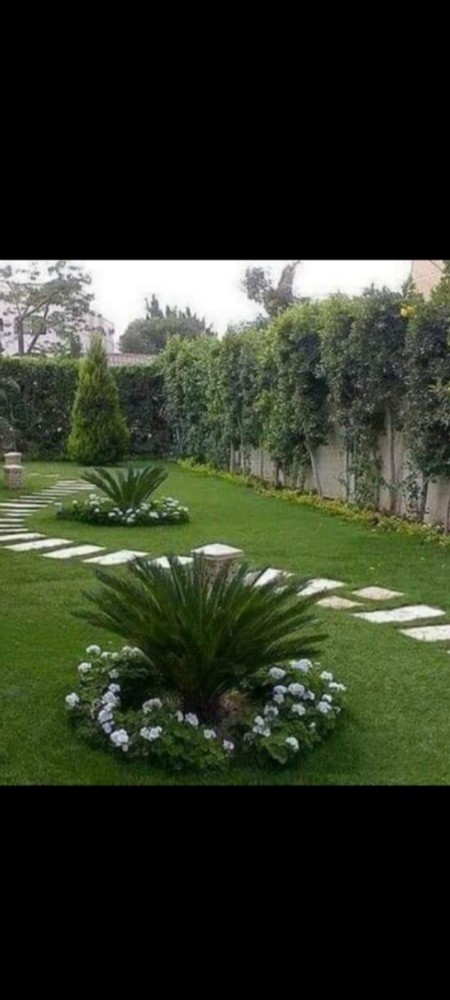 مزارع - 1