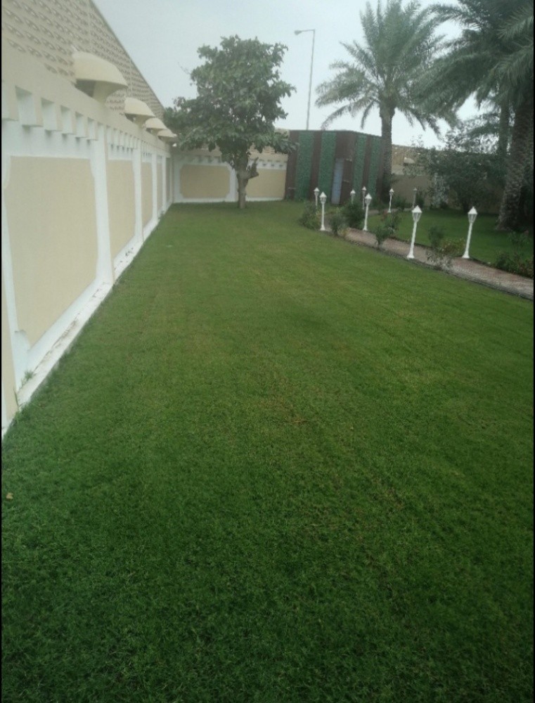مزراع - 3