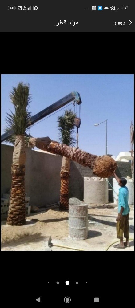 تنسيق الحدائق الخاصه العامه - 4