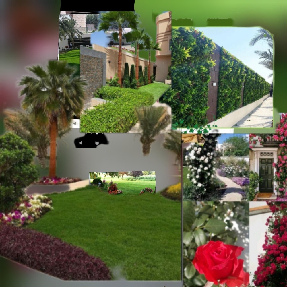 تنسيق الحدائق الخاصه العامه - 2