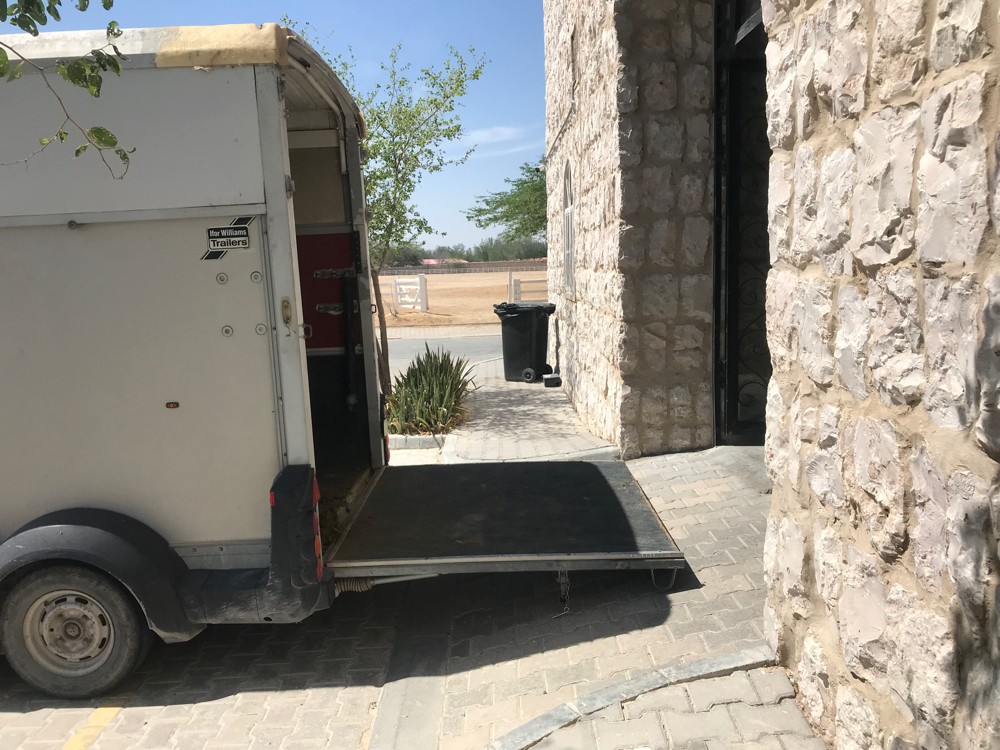 Horse transport - 9