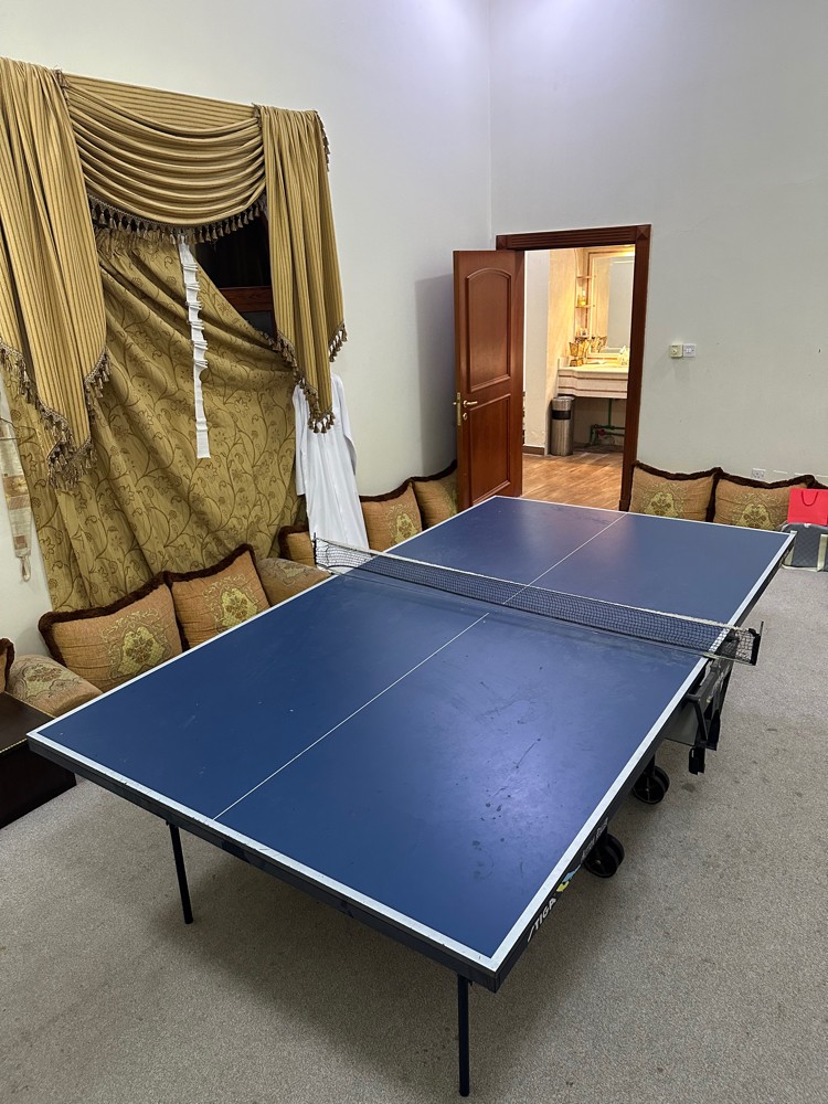 طاولة تنس - 3