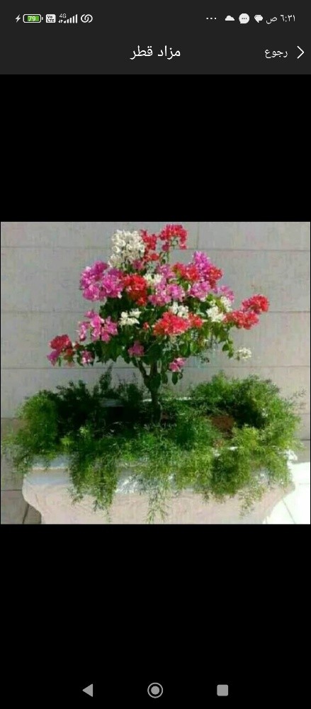 أحواض زراعه - 1
