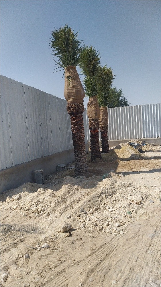 مهندس زراعي - 2