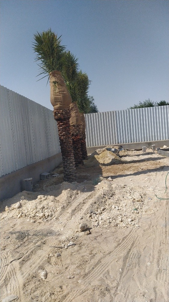مهندس زراعي - 1