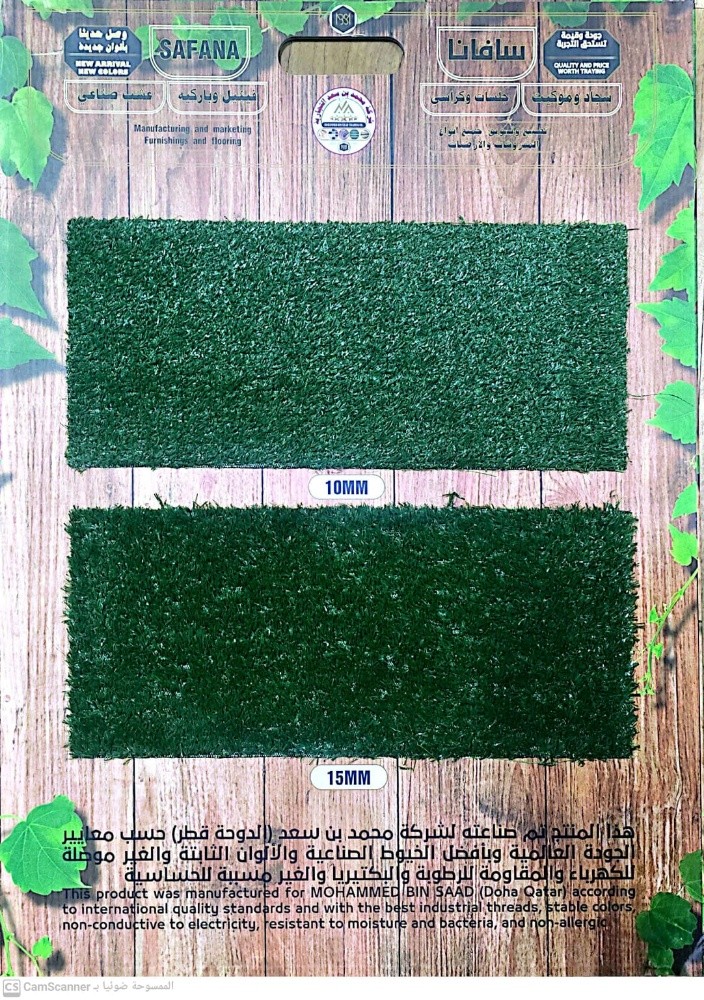 Green Carpet - 2