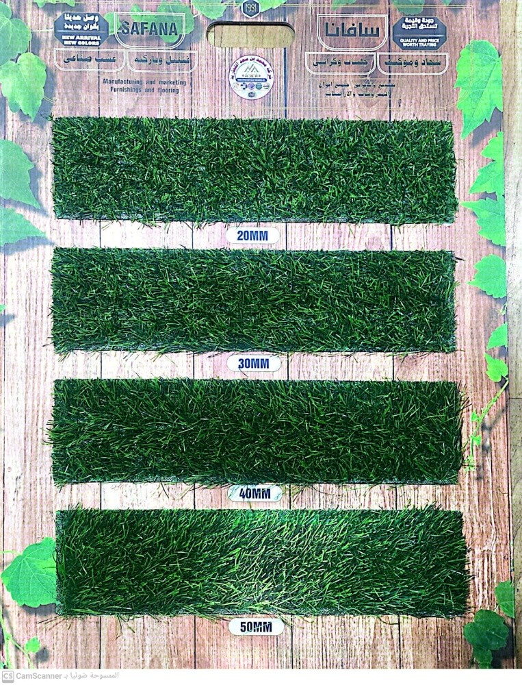 Green Carpet - 1