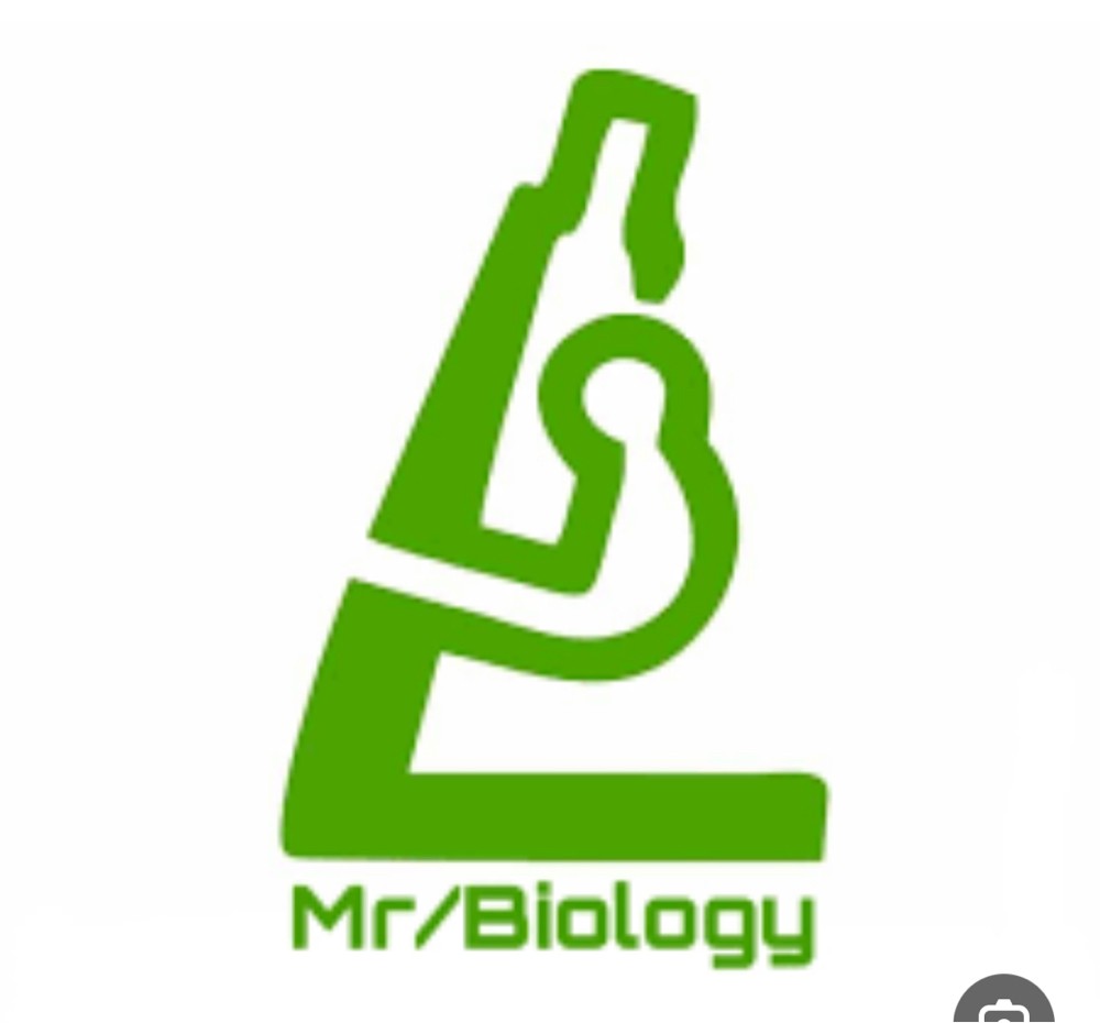 دكتورة جامعية  - 1