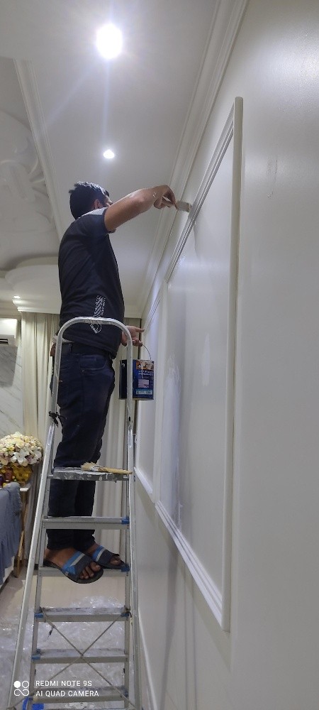 professionally painting - 4