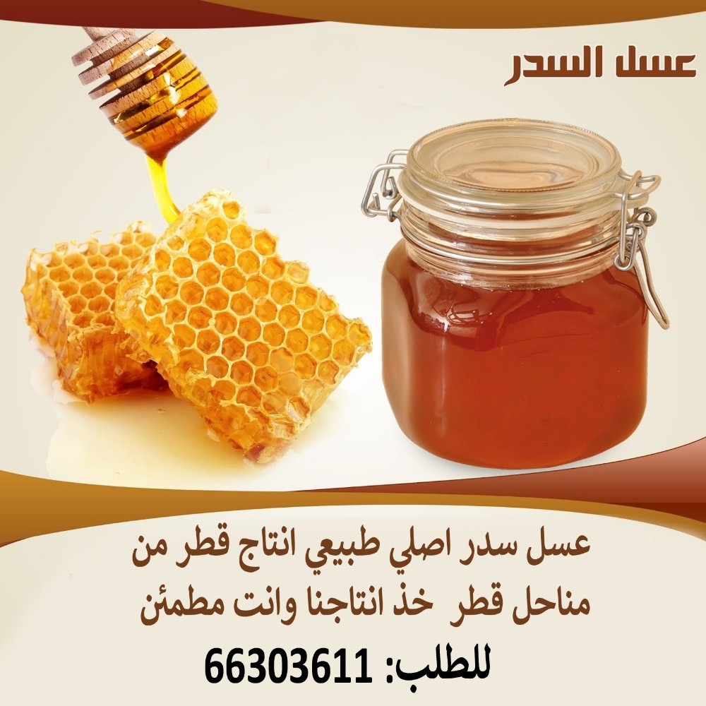 عسل سدر بري - 1