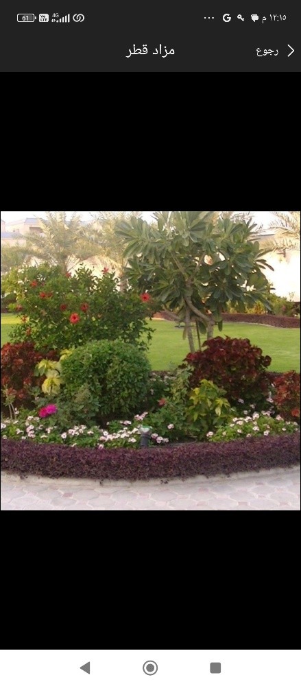 ابو خليفه للنخيل - 10