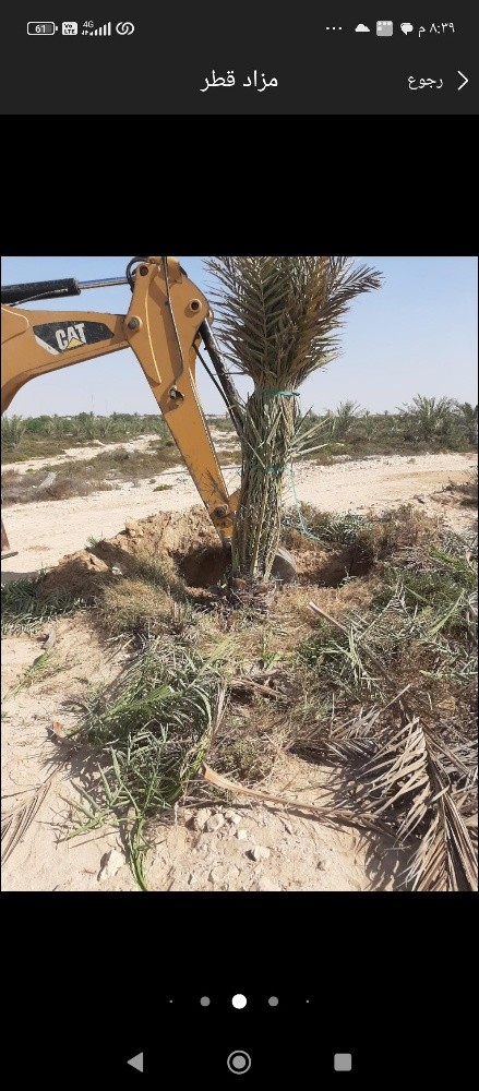 ابو خليفه للنخيل - 8