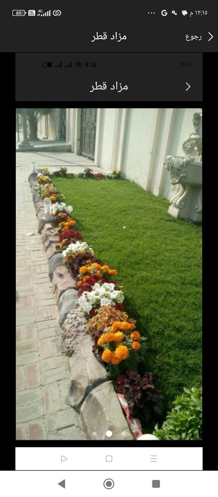 ابو خليفه للنخيل - 4