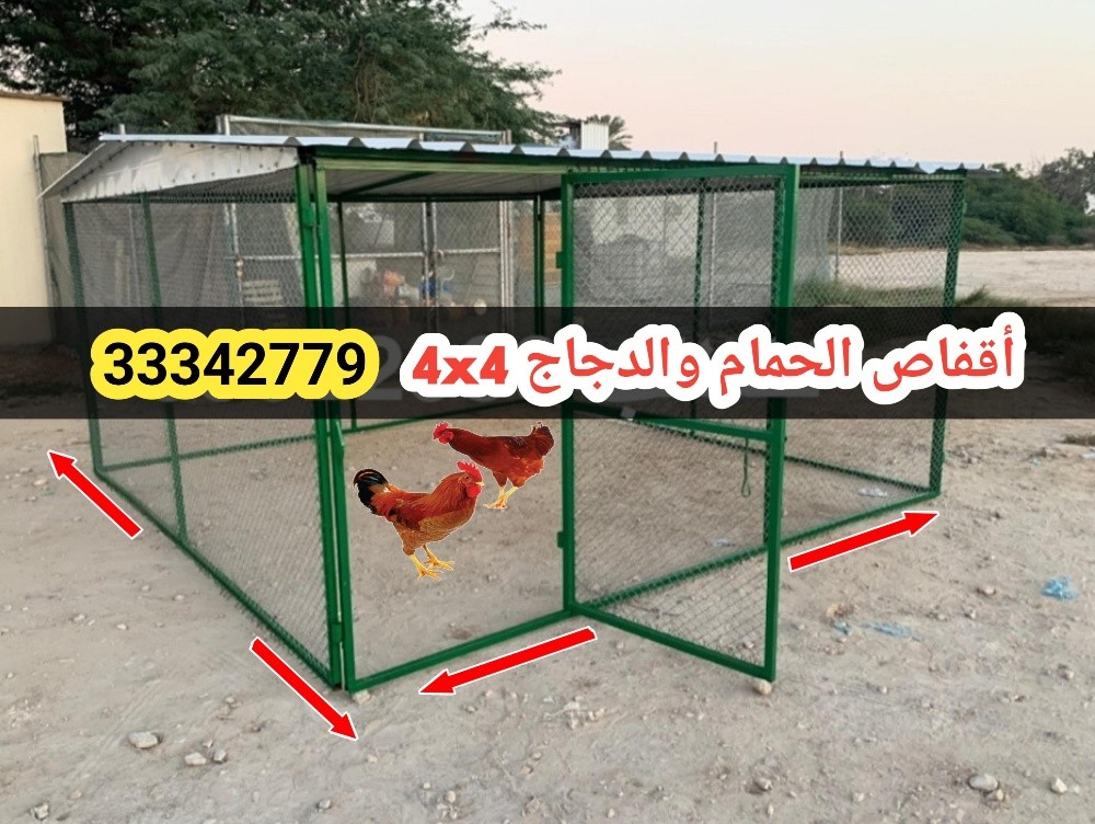قفص الحمام 4/4 - 4
