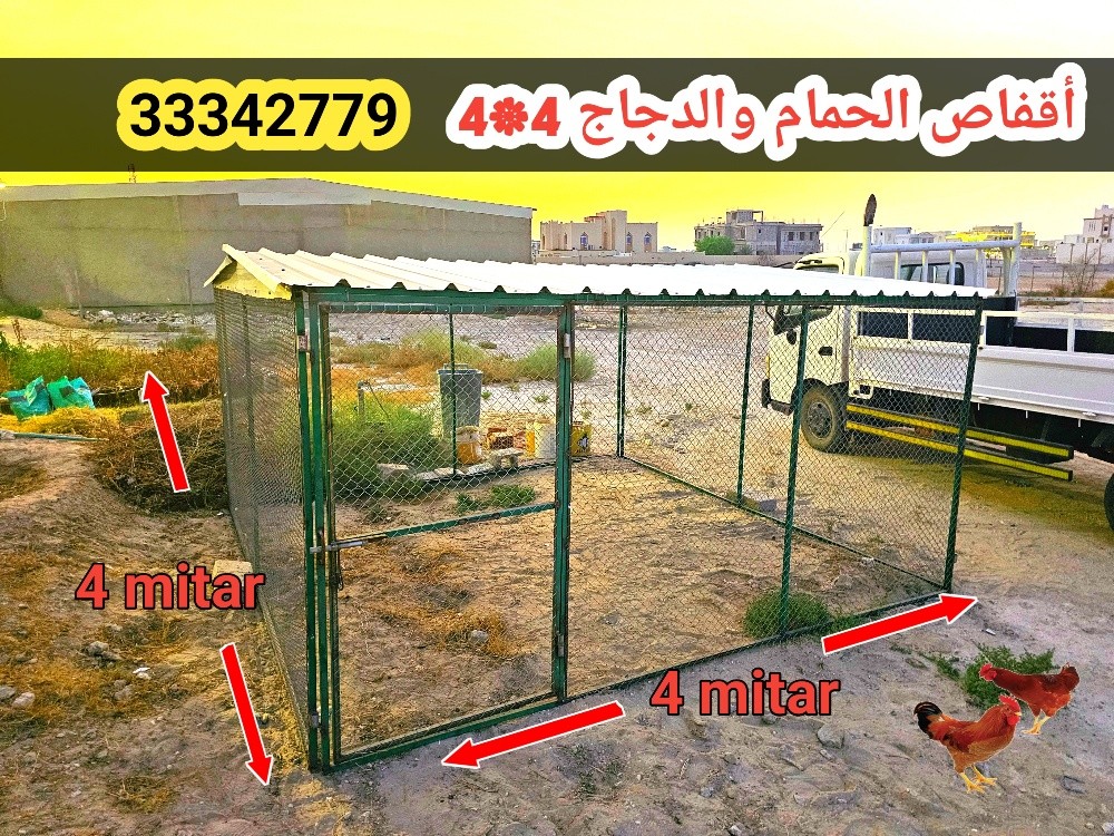 قفص الحمام 4/4 - 2