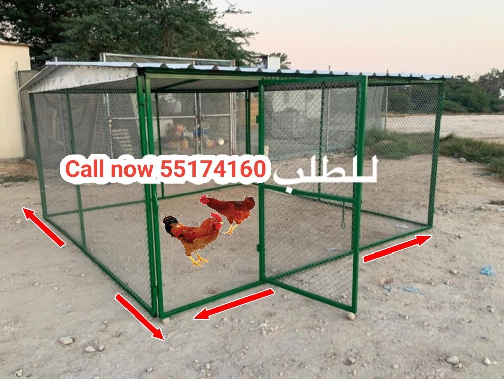 قفص الحمام 4/4 - 3