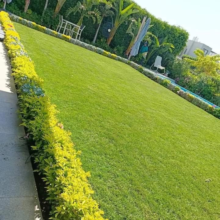 صيانة وعنايه الحدائق والمزارع  - 1