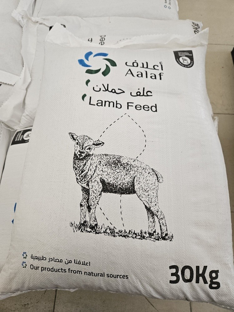 حملان - 1