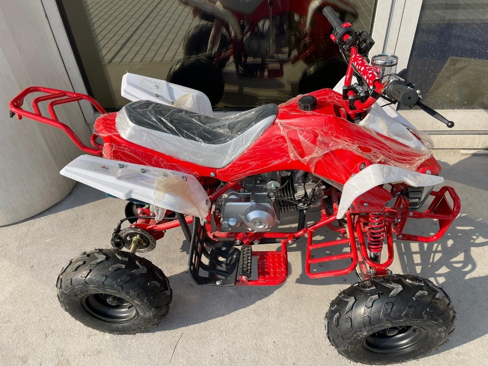 budbuda  patrol 110cc - 1