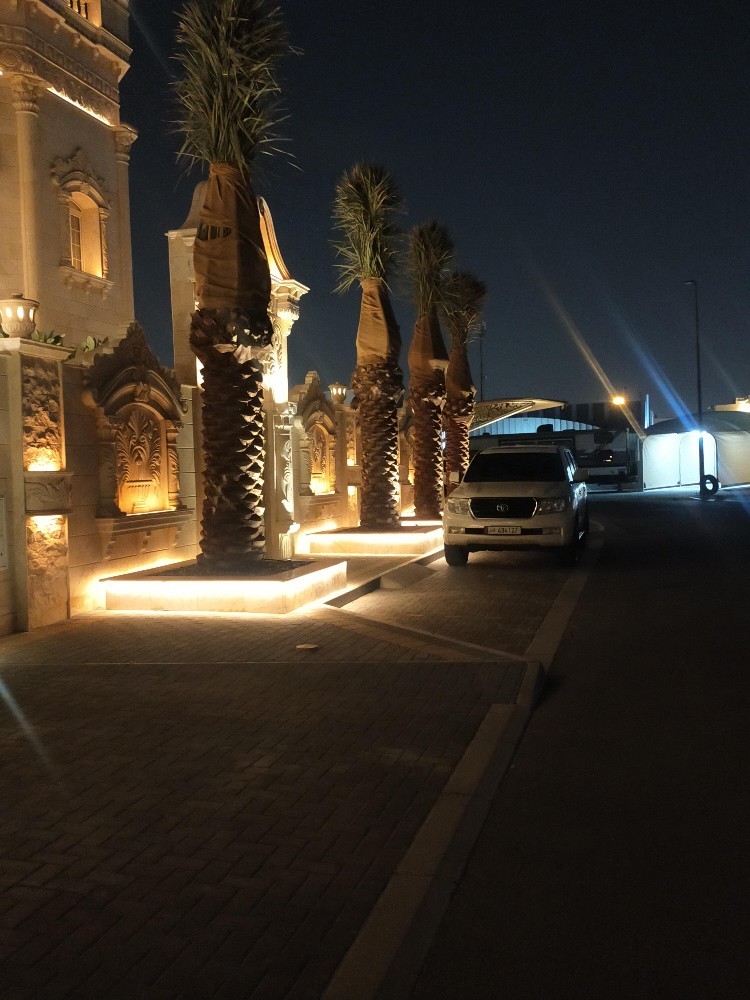 نخيل للبيع - 2