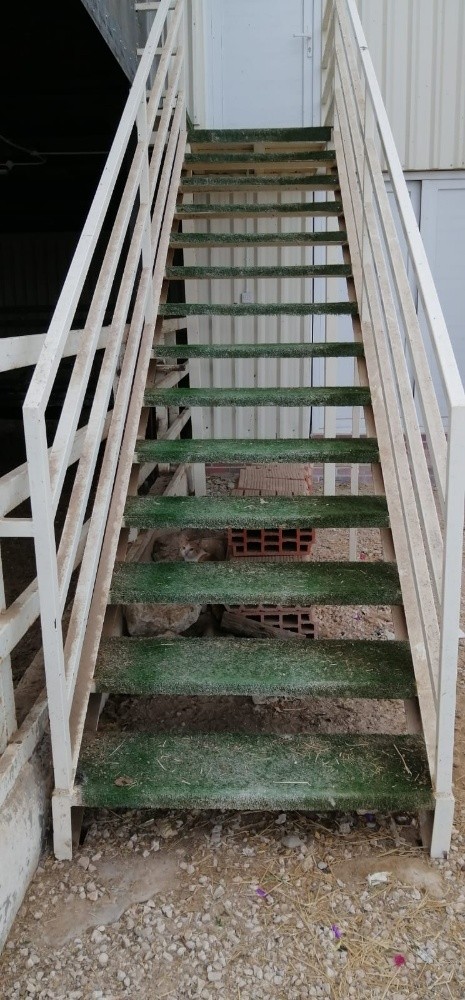 حداد مساعدة لعمل المشاريع - 3