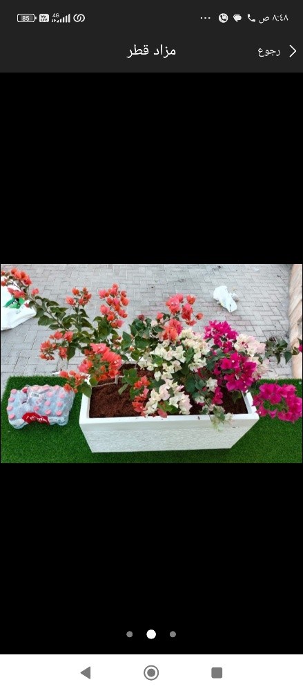 زراعه الحدائق - 2