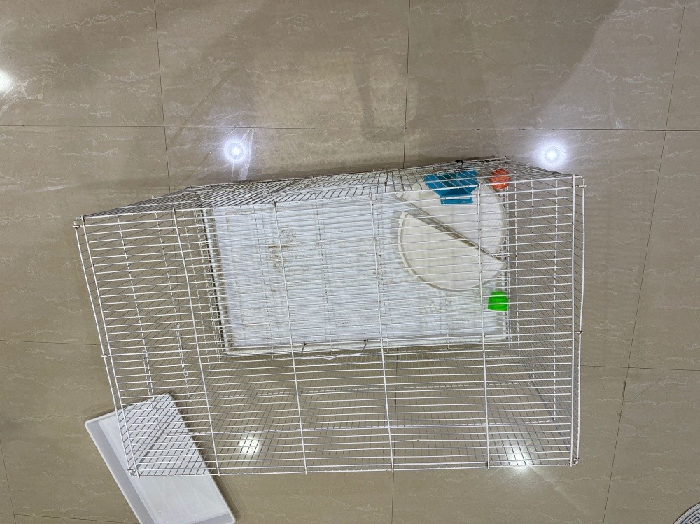 قفص عصافير - 1