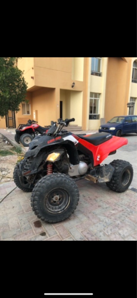 can-am 250 cc 2020 - 1